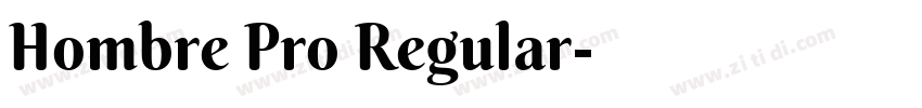 Hombre Pro Regular字体转换